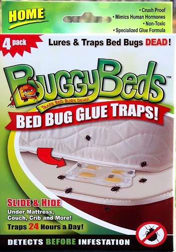 BuggyBeds Home Glue Traps- Detect Before Infestation