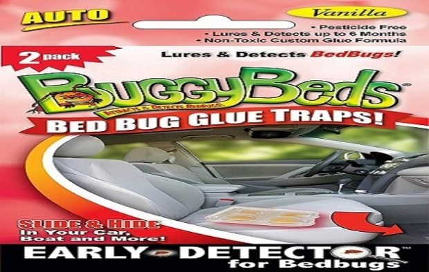 BuggyBeds Bed Bug Glue Traps, Early Detection