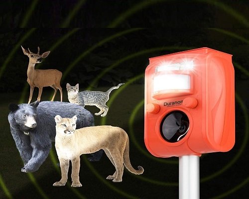 5 Best Solar Deer Repellent