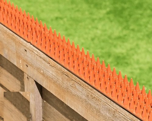 TheOutDoorShop Cat Repeller Fence and Wall Spikes