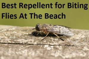 Best Repellent for Biting Flies At The Beach