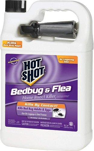 Hot Shot Bed Bug And Flea Fogger Customer Review Dengarden, 40% OFF